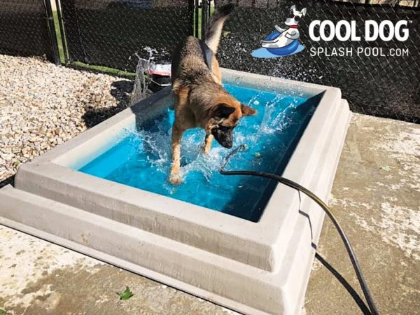 Cool Dog Splash Pool For Dogs1 1