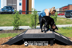 GymsForDogs22