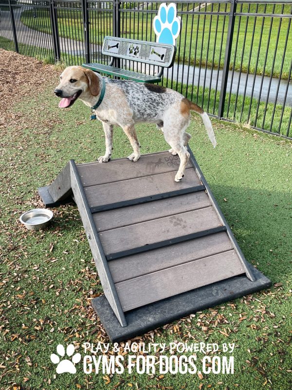 MiniBridgeClimbLarge DogParkOutfitters scaled 1