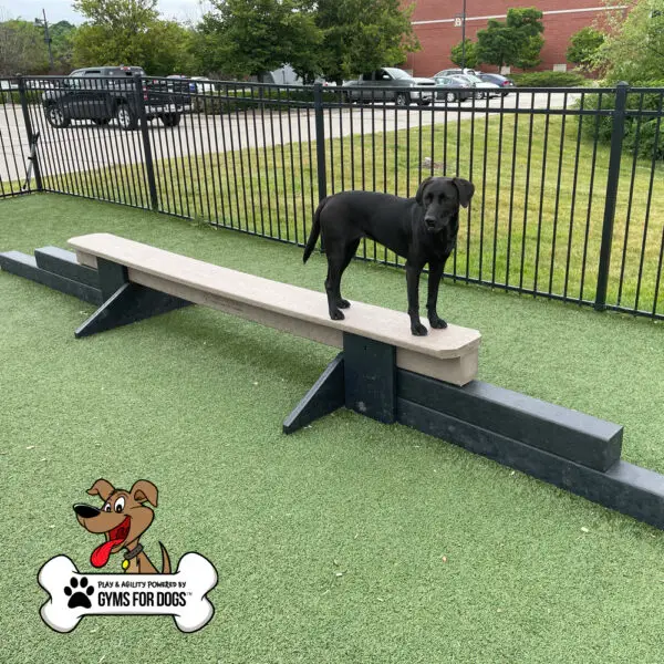 dog park equipment jump balance beam 01