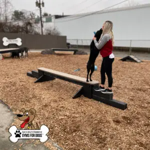 dog park equipment jump balance beam 02