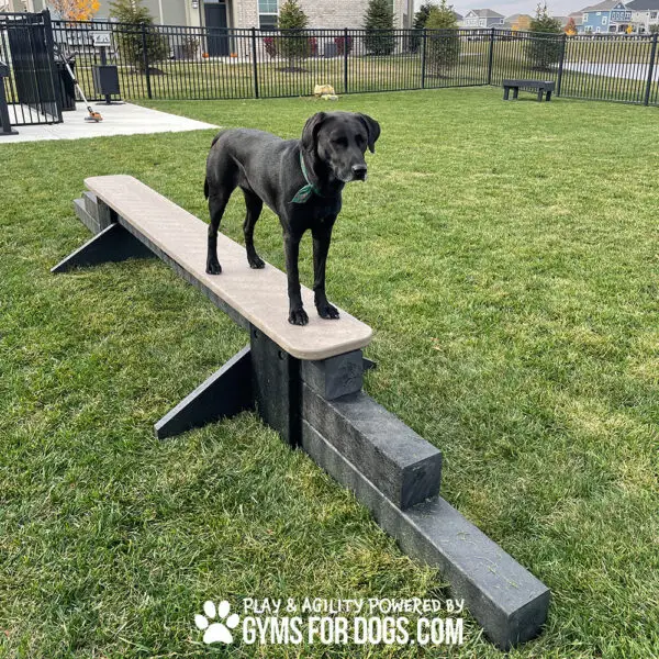 dog park equipment jump balance beam 07