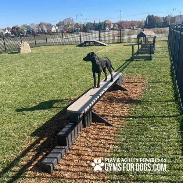 dog park equipment jump balance beam 08