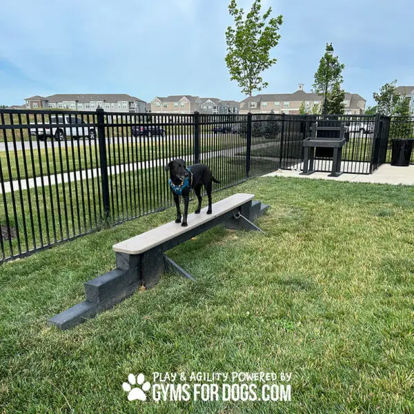 dog park equipment jump balance beam 10