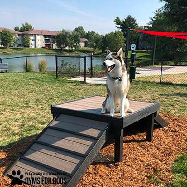 dog playground equipment bridge climb