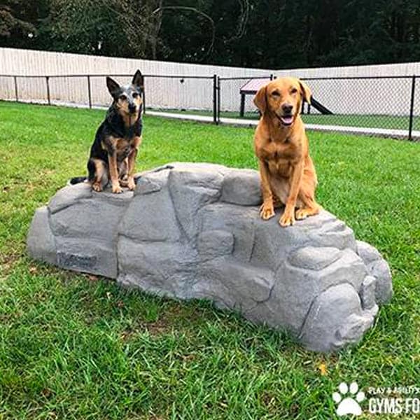 dog playground equipment climbing boulders