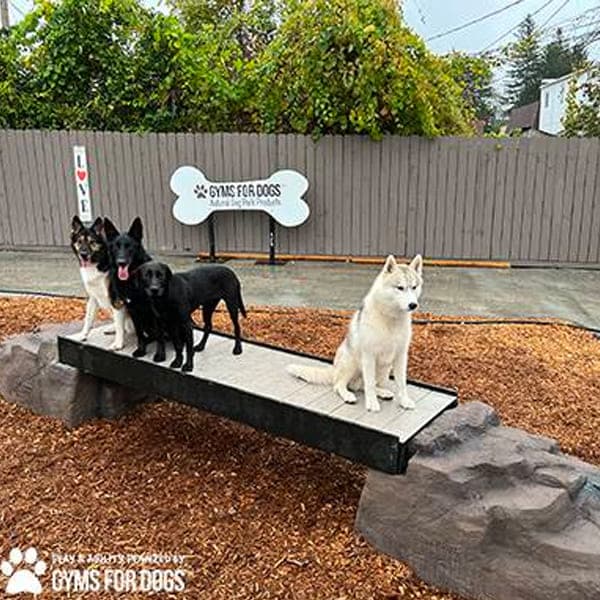 dog playground equipment ellies boulder bridge