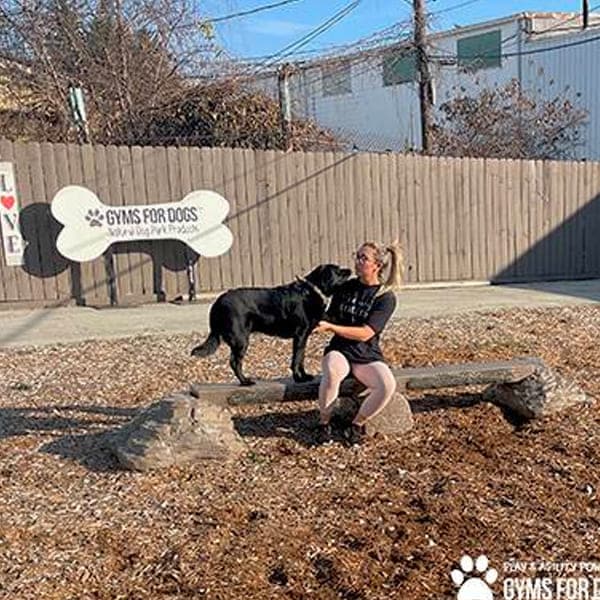 dog playground equipment ellies jump balance beam