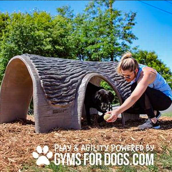 dog playground equipment hammies tunnel house