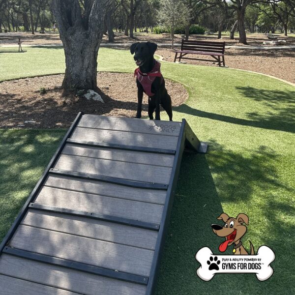 dog playground equipment hill climb 03