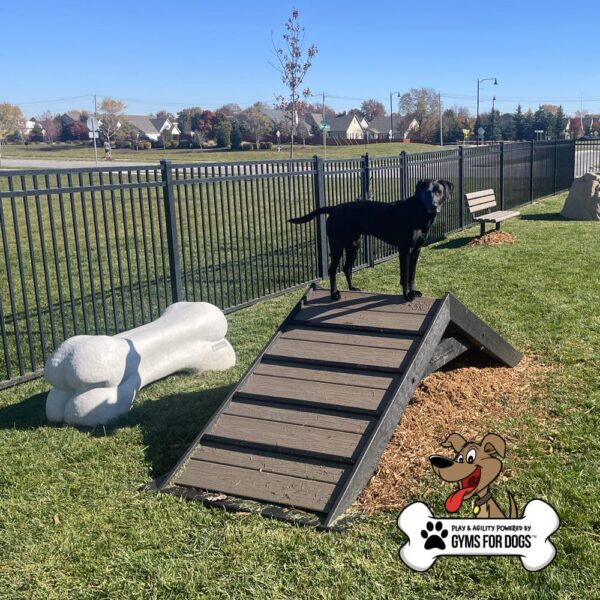 dog playground equipment hill climb 05