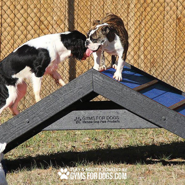 dog playground equipment hill climb 09