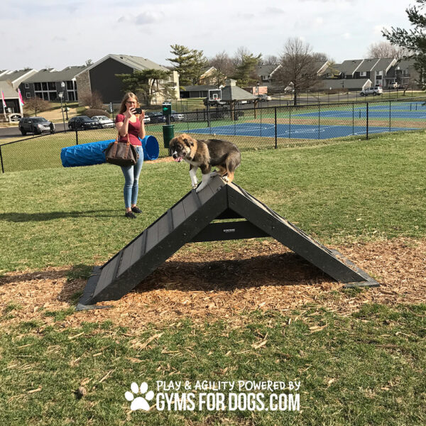 dog playground equipment hill climb 10