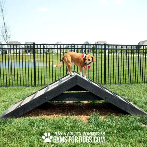 dog playground equipment hill climb 15