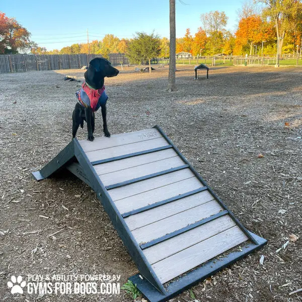 dog playground equipment hill climb 17