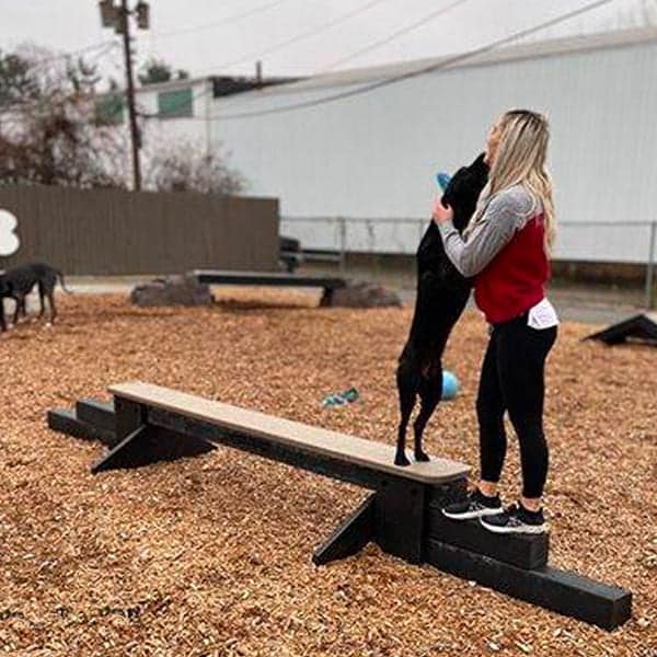 dog playground equipment jump balance beam