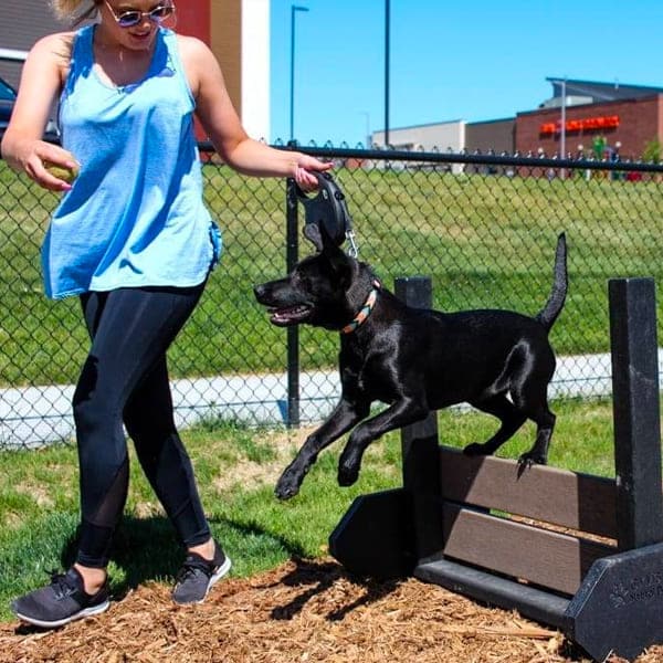 dog playground equipment jump dog sports rehabilitation