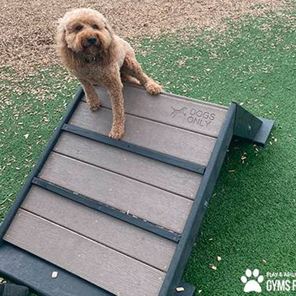 dog playground equipment mini hill climb