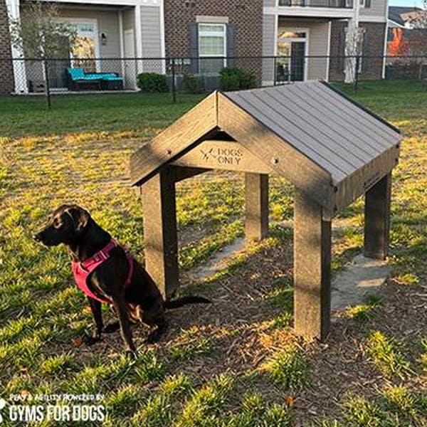 dog playground equipment tunnel house